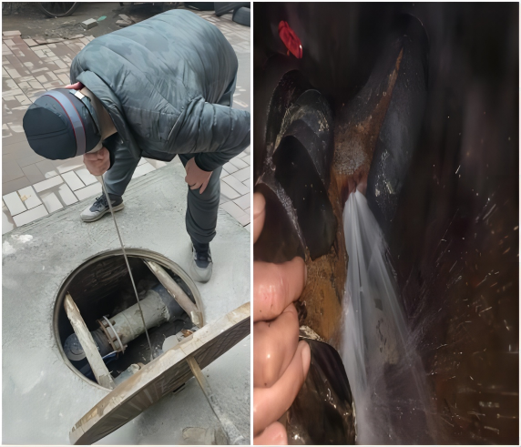 1712886930723.png WPS拼圖2.png