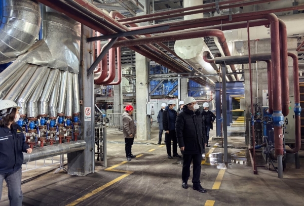 1734058204553.jpg 2.jpg