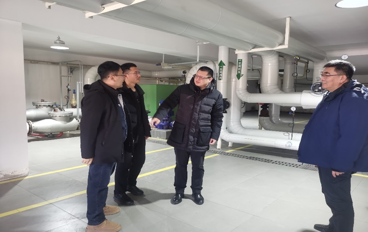 1734058211051.jpg 3.jpg