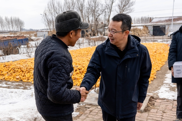 1734068384546.jpg 4.jpg