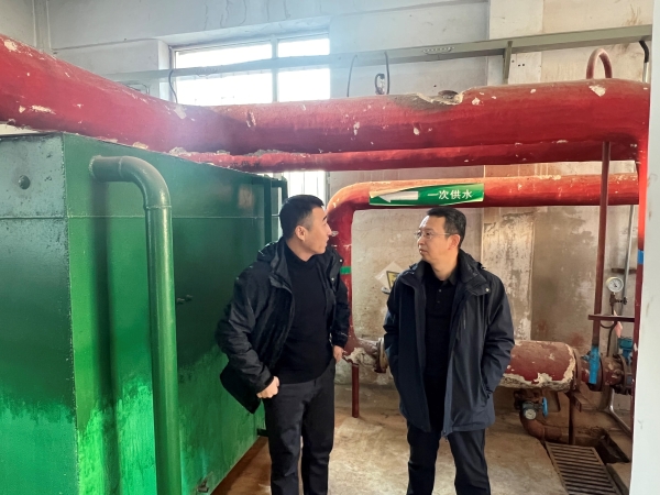 1735868369856.jpg 1.jpg