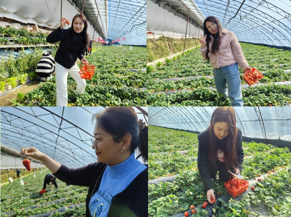 1741832435656.jpg 3.jpg